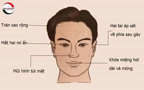 Mô tả SEO giàu ý nghĩa