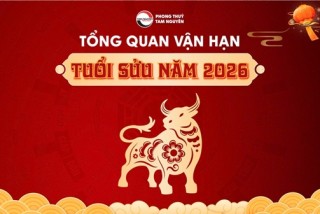 Vận Hạn Tuổi Sửu Năm 2026: Biến Động Âm Thầm, Cẩn Trọng Tiểu Nhân Và Hao Tài