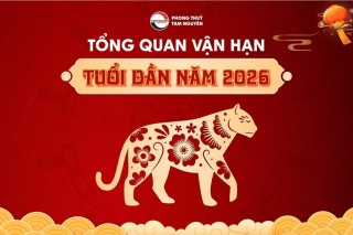 Tử Vi Tuổi Dần Năm 2026: Vận Khí Khởi Sắc Nhưng Cần Tránh Nóng Vội