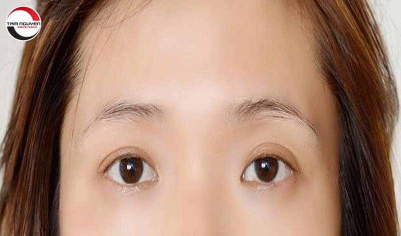 Tướng l&ocirc;ng m&agrave;y mờ dần về đu&ocirc;i